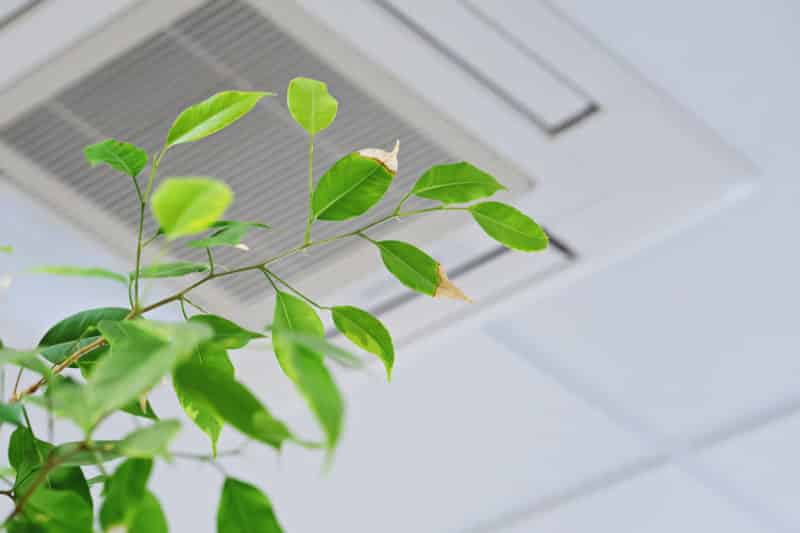 indoor air quality solutions, air purification hacks, hvac services in houston