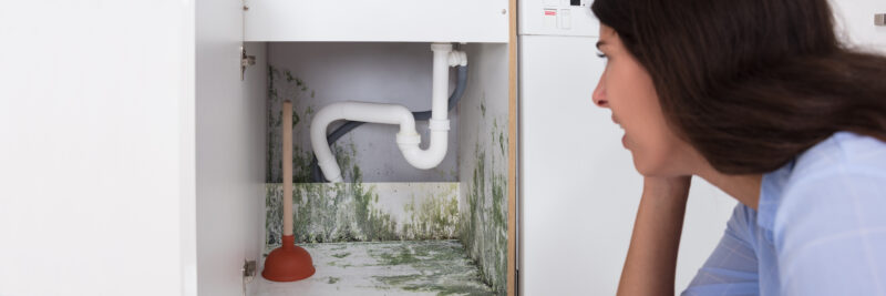 Mold growing underneath a sink with a water leak