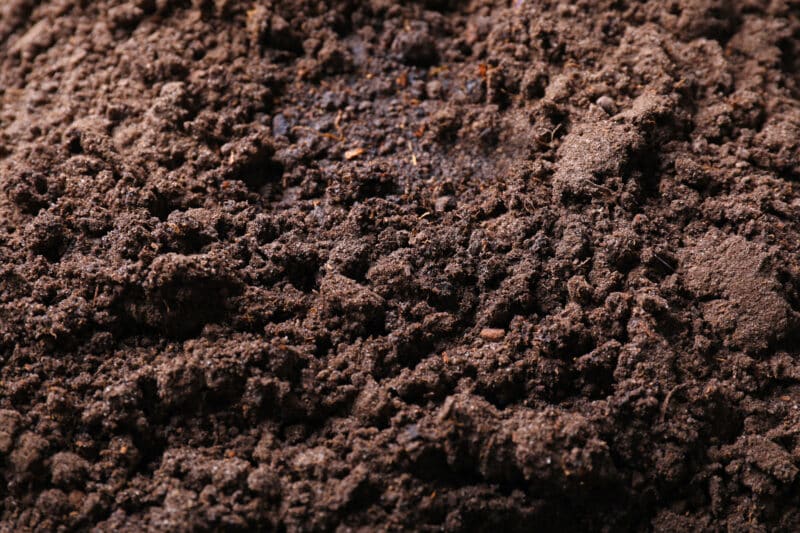 close up of a mound of dark brown soil